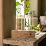 Sprout and Soil Wooden Propagation Station with 3 Glass Test Tubes - Image 2